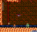Thumbnail for version as of 23:11, 16 September 2021